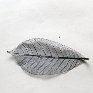 Mulberry Paper Leaves (Large) - Blue (Pack of 10 leaves)