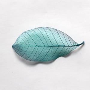 Mulberry Paper Leaves (Large) - Turquoise (Pack of 10 leaves)