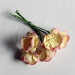 Mulberry Cherry Blossoms - Cream and Pink (Pack of 10 flowers)