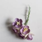 Mulberry Cherry Blossoms - Purple and White (Pack of 10 flowers)