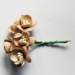 Mulberry Cherry Blossoms - Light Brown (Pack of 10 flowers)