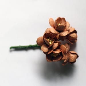 Mulberry Cherry Blossoms - Brown (Pack of 10 flowers)