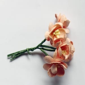 Mulberry Cherry Blossoms - Peach (Pack of 10 flowers)