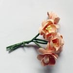 Mulberry Cherry Blossoms - Peach (Pack of 10 flowers)