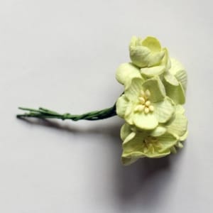 Mulberry Cherry Blossoms - Light Green (Pack of 10 flowers)