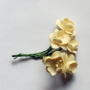 Mulberry Cherry Blossoms - Cream (Pack of 10 flowers)