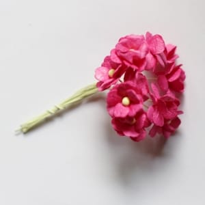 Periwinkles Flowers - Pink