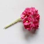 Periwinkles Flowers - Pink