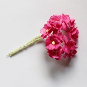 Periwinkles Flowers - Pink