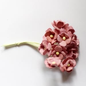 Periwinkles Flowers - Wine