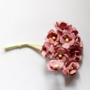 Periwinkles Flowers - Wine