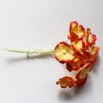 Periwinkles Flowers - Yellow and Red (Pack of 10 flowers)