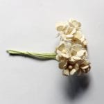 Periwinkles Flowers - Cream (Pack of 10 flowers)