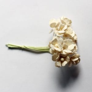Periwinkles Flowers - Cream (Pack of 10 flowers)