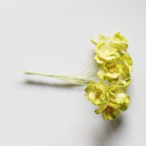 Periwinkles Flowers - Yellow and Green (Pack of 10 flowers)