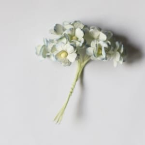 Periwinkles Flowers - White and Blue (Pack of 10 flowers)