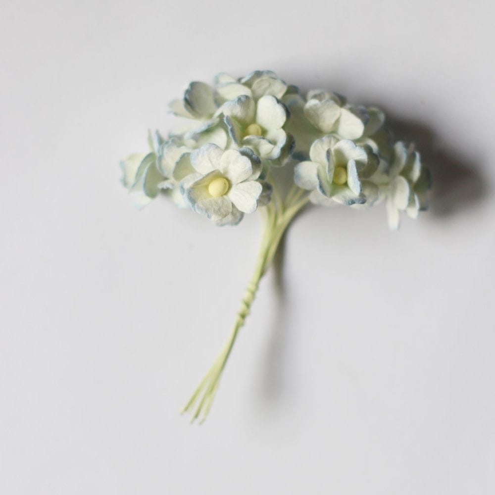 Periwinkles Flowers - White and Blue (Pack of 10 flowers)