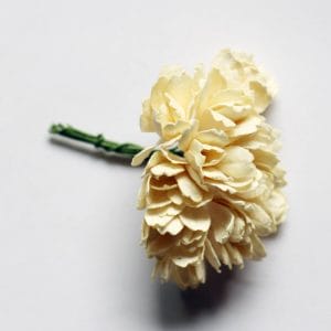 Carnation Flowers - Cream (Pack of 10 flowers)