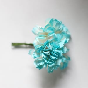 Carnation Flowers - White and Blue (Pack of 10 flowers)