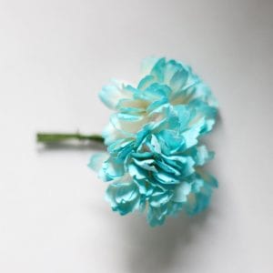 Carnation Flowers - White and Blue (Pack of 10 flowers)