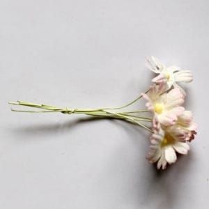 Daisies - Baby Pink and White