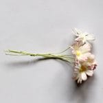 Daisies - Baby Pink and White