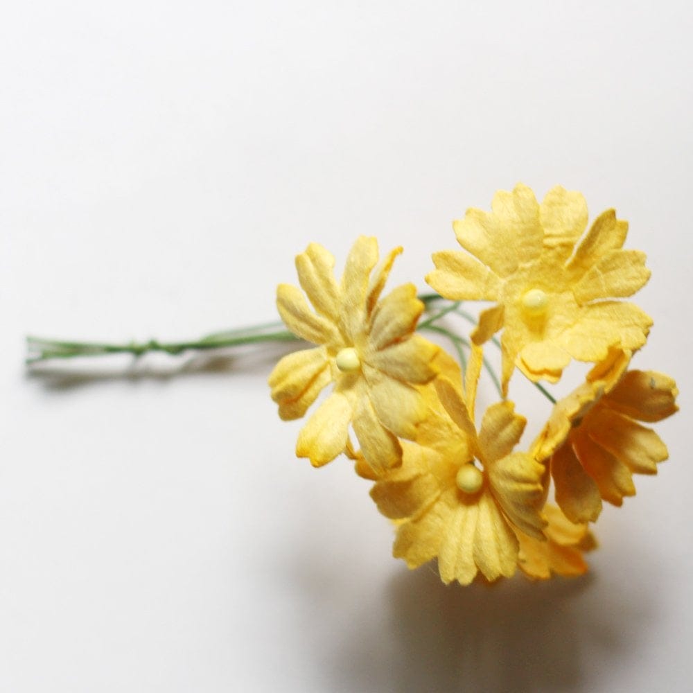 Daisies - Yellow camr277 Daisies - Yellow