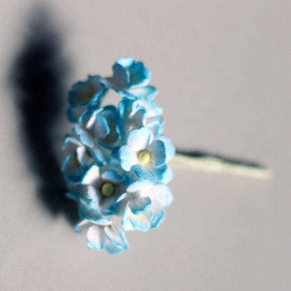 Periwinkles Flowers - White and Baby Blue (Pack of 10 flowers) camr280 Periwinkles Flowers - White and Baby Blue (Pack of 10 flowers)