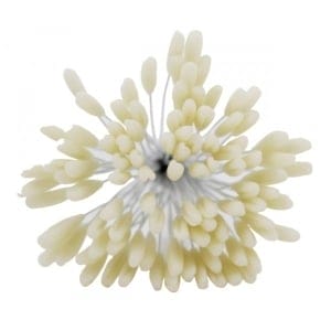 Pollens - Cream CAMR282