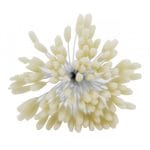 Pollens - Cream CAMR282