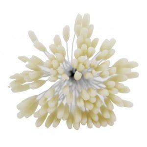 Pollens - Cream CAMR282