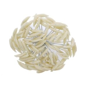 Long Pollens - Cream