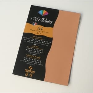 Canson Mi-Teintes A4 colour sheets 160gsm - Buff 384