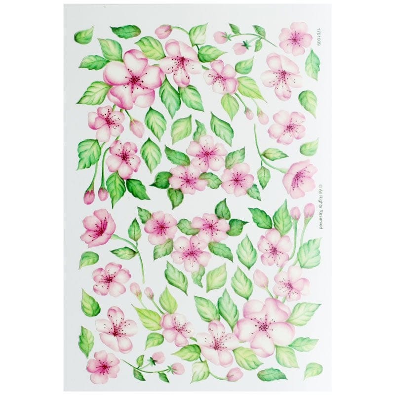 A4 Sospeso Sheet - Floral Design 6 CAST 128 sospeso sheets A4 Sospeso Sheet - Floral Design 6