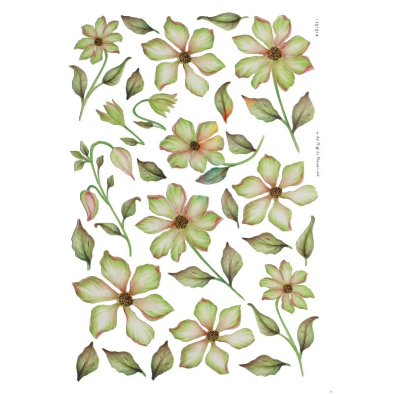 A4 Sospeso Sheet - Floral Design 12 CAST 134 sospeso sheets A4 Sospeso Sheet - Floral Design 12