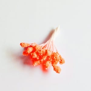 Granulated Pollens - Neon Orange