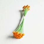 Wired Pollens - Orange