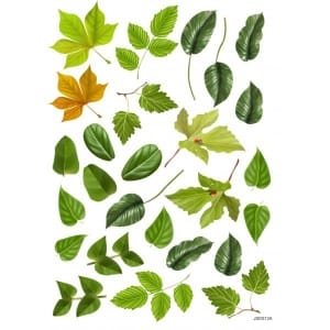 JAGS A4 Sospeso Sheet - Floral Design 12