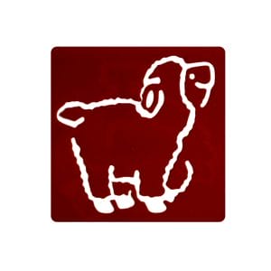 Washable Templates or Stencils for Kids (Set of 6 pcs) - Animals