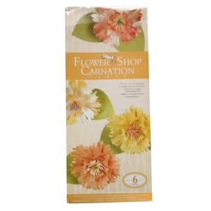 DIY Paper Flower making Kit by EnoGreeting - Carnations
