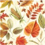 A pack of 13 by 13 inch Decpoupage Napkin Paper (SDL000511) - Set of 20 pcs