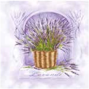 A pack of 13 by 13 inch Decpoupage Napkin Paper (SDL007204) - Set of 20 pcs