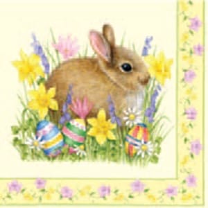 A pack of 13 by 13 inch Decpoupage Napkin Paper (SDL071000) - Set of 20 pcs