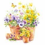 A pack of 13 by 13 inch Decpoupage Napkin Paper (SDL076600) - Set of 20 pcs