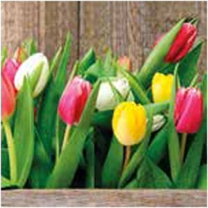 A pack of 13 by 13 inch Decpoupage Napkin Paper (SDL079100) - Set of 20 pcs