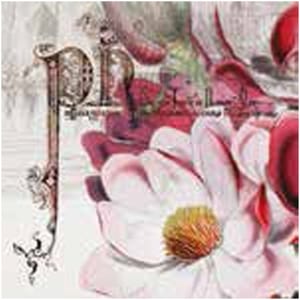 A pack of 13 by 13 inch Decpoupage Napkin Paper (SDL083800) - Set of 20 pcs