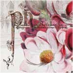 A pack of 13 by 13 inch Decpoupage Napkin Paper (SDL083800) - Set of 20 pcs