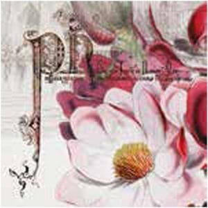 A pack of 13 by 13 inch Decpoupage Napkin Paper (SDL083800) - Set of 20 pcs