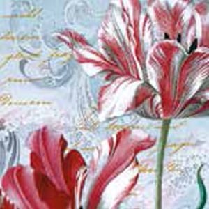 A pack of 13 by 13 inch Decpoupage Napkin Paper (SDL083900) - Set of 20 pcs