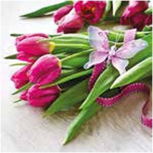 A pack of 13 by 13 inch Decpoupage Napkin Paper (SDL085600) - Set of 20 pcs